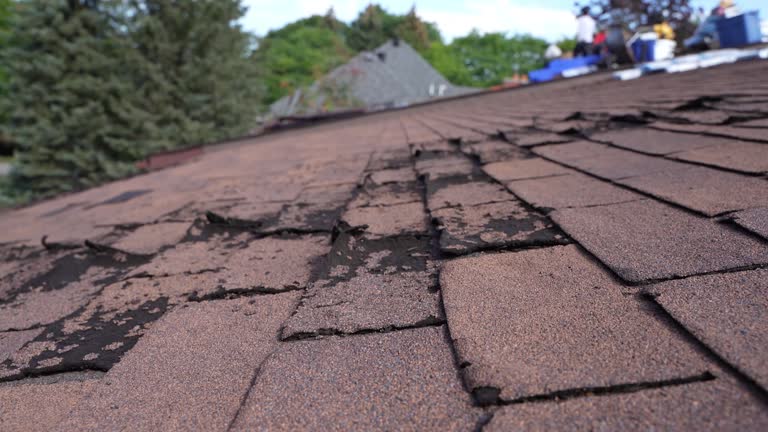 Best Solar Panel Roofing Installation  in Emporia, KS